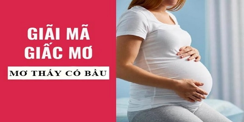 Nằm mơ thấy mình có bầu đánh số mấy vào bờ?