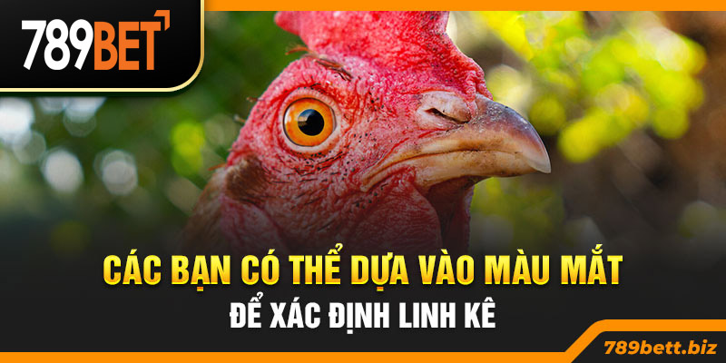 Các bạn có thể dựa vào màu mắt để xác định linh kê