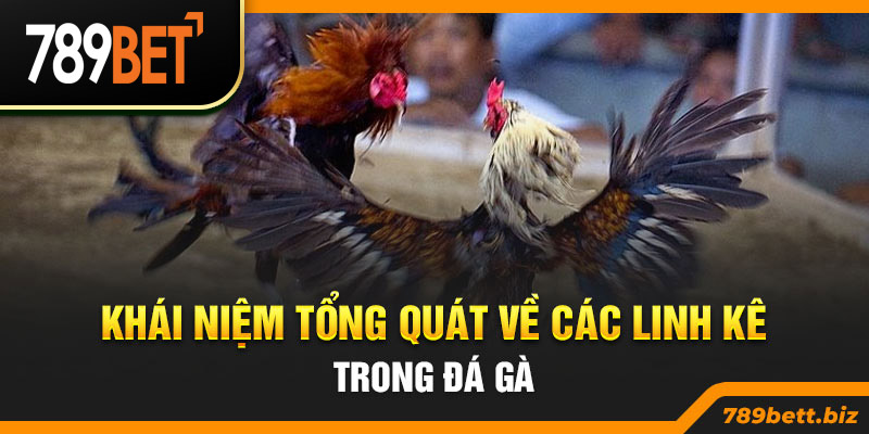 Khái niệm tổng quát về các linh kê trong đá gà