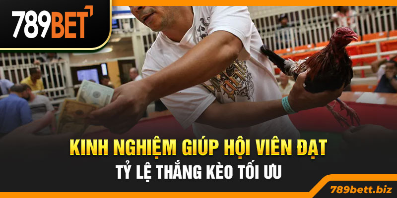 Kinh nghiệm giúp hội viên đạt tỷ lệ thắng kèo tối ưu