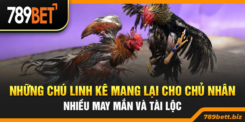 Những chú linh kê mang lại cho chủ nhân nhiều may mắn và tài lộc