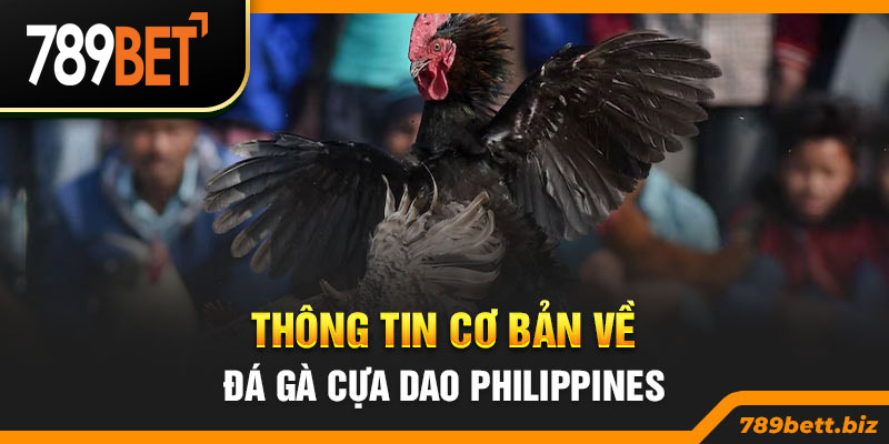 Thông tin cơ bản về đá gà cựa dao Philippines