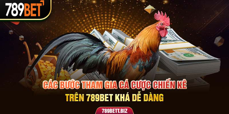 Các bước tham gia cá cược chiến kê trên 789bet khá dễ dàng