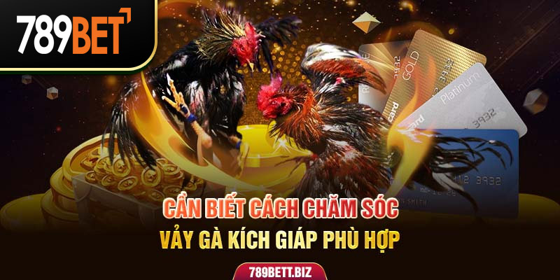 Cần biết cách chăm sóc vảy gà kích giáp phù hợp