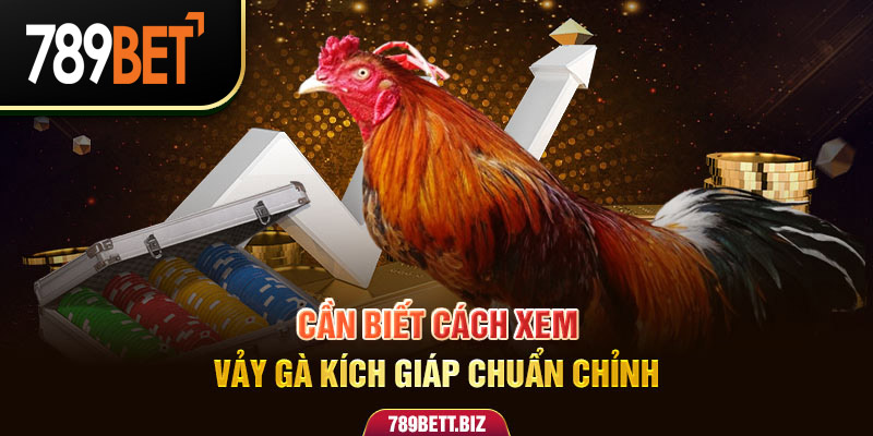 Cần biết cách xem vảy gà kích giáp chuẩn chỉnh