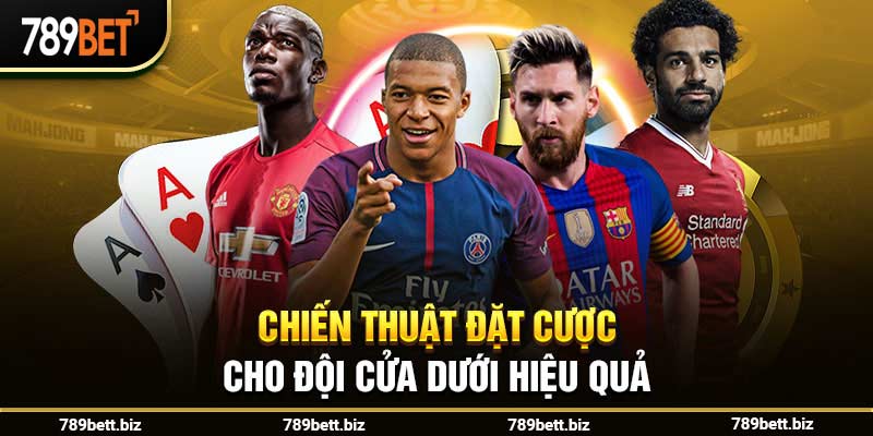 Chiến thuật đặt cược cho đội cửa dưới hiệu quả