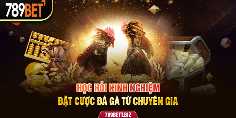 Học hỏi kinh nghiệm đặt cược đá gà từ chuyên gia