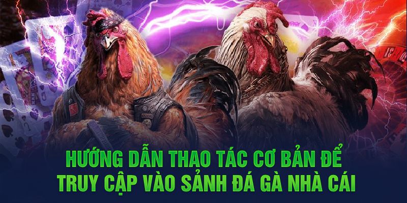 Hướng dẫn thao tác cơ bản để truy cập vào sảnh đá gà nhà cái