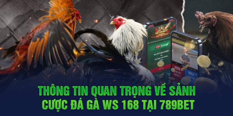 Thông tin quan trọng về sảnh cược đá gà tại 789BET