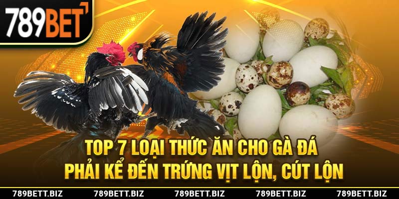 Top 7 loại thức ăn cho gà đá phải kể đến trứng vịt lộn, cút lộn